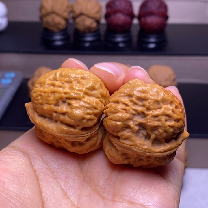 文玩核桃把件卧莲金蟾32