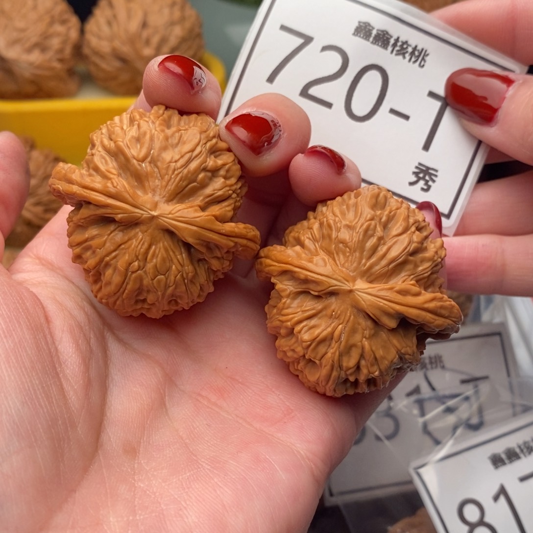 文玩核桃把件白狮42