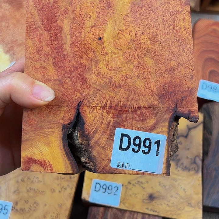 木飞**白小叶羊蹄甲瘤疤文理