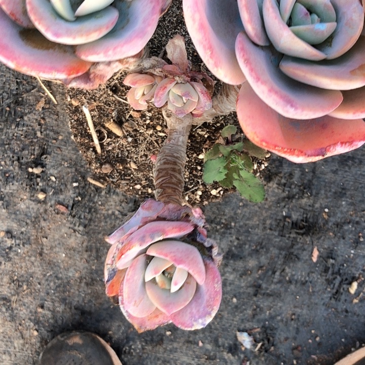 S***e97////////////////