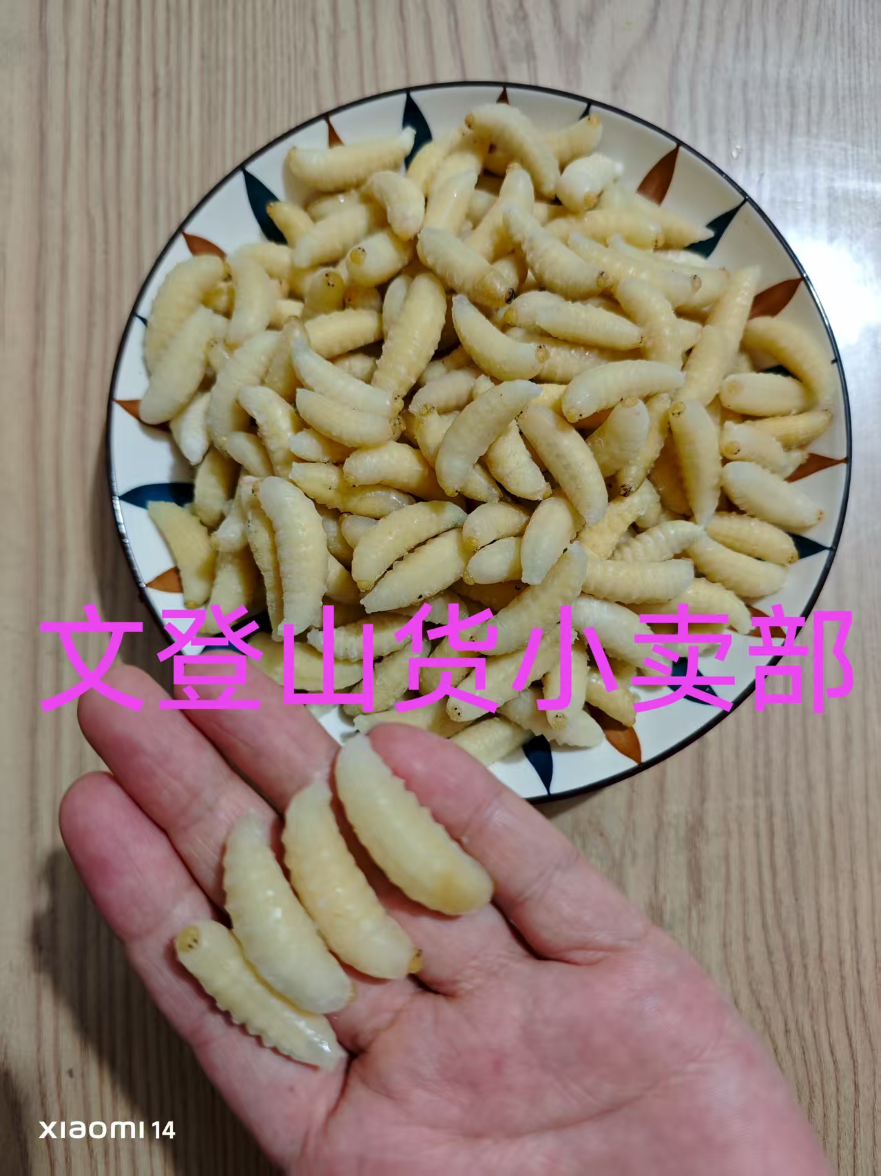 威海食品本地金环虎头蜂一级蜂蛹