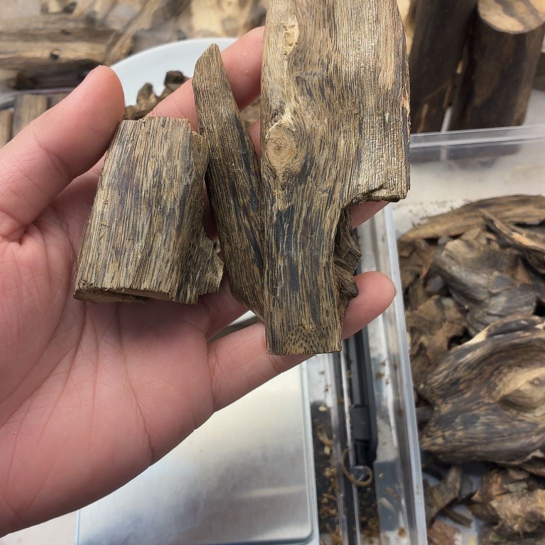 48.6克包邮到家福利