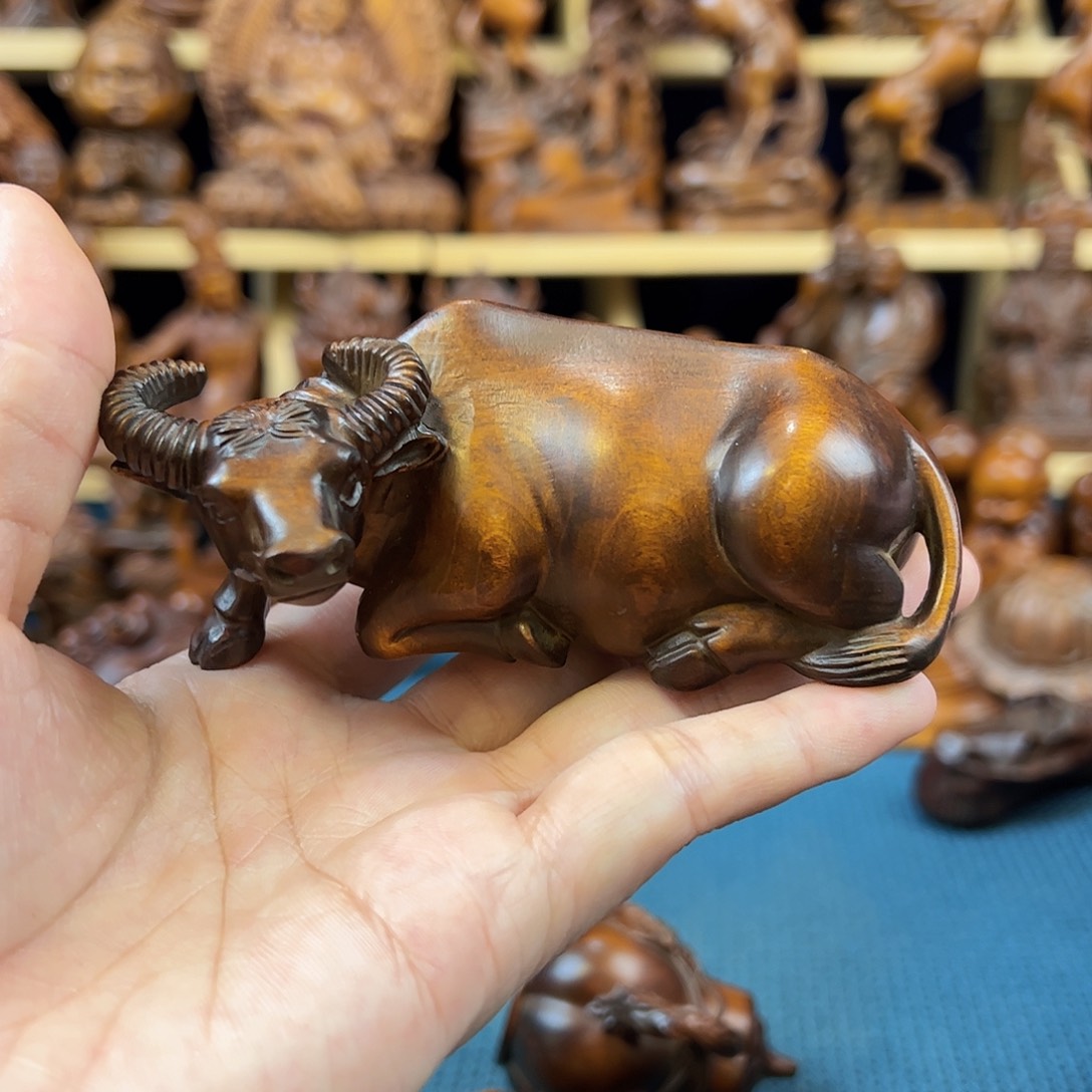 黄杨木小叶黄杨木