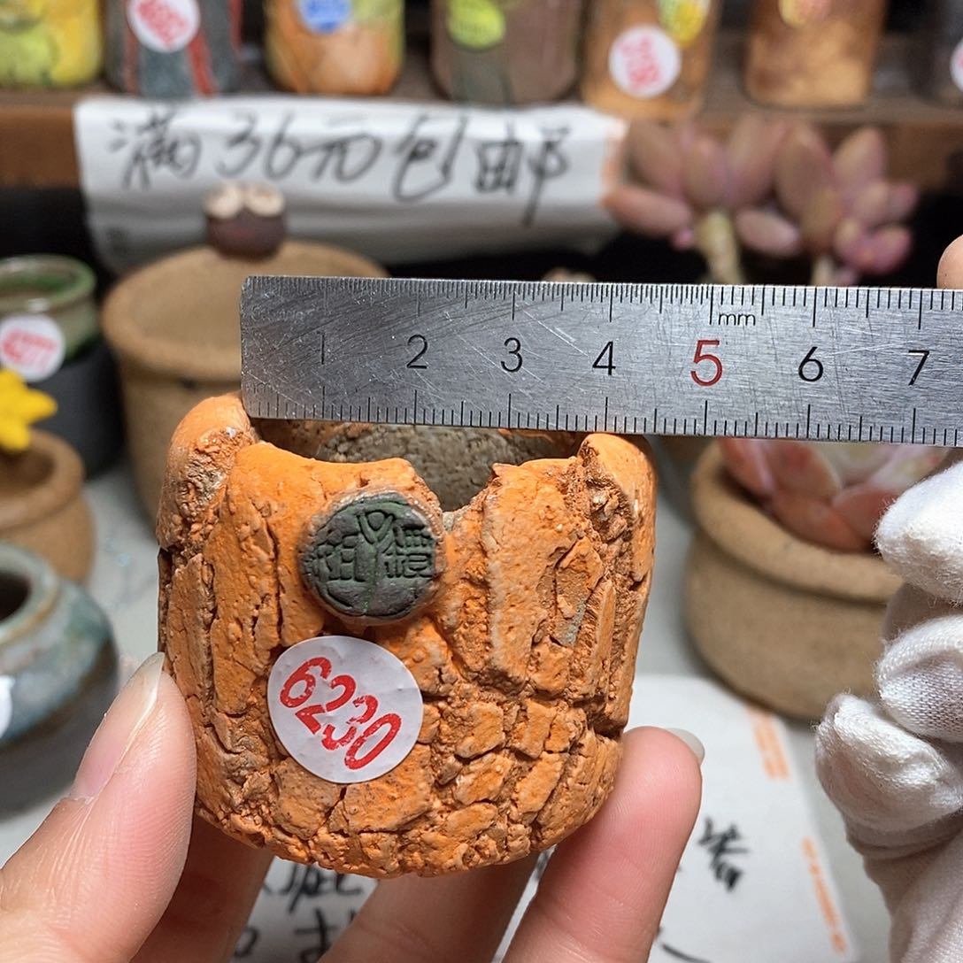 红陶拍5送一个小