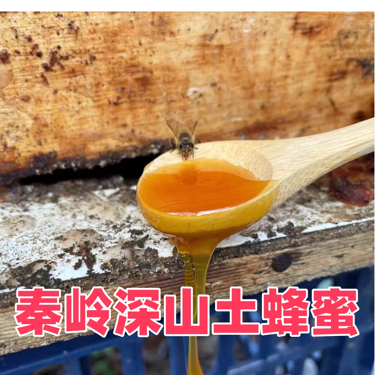 野生蜂蜜深山成熟农家纯正百花花蜜土蜂蜜500克包邮