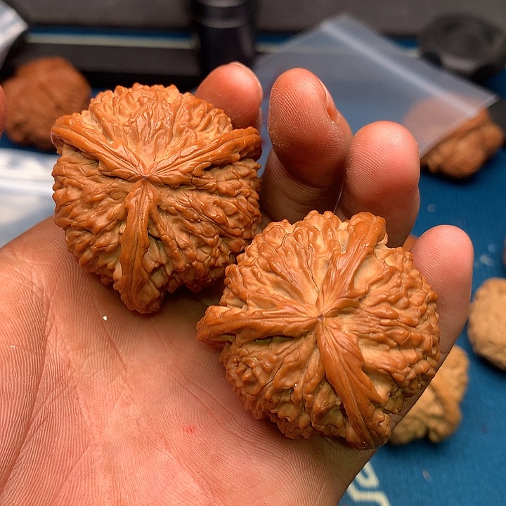 白奔玩儿核桃手把件