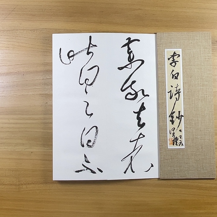 书法中书协老师作品