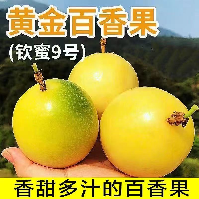 正宗钦蜜9号黄金百香果当季新鲜水果酸甜多汁孕妇水果（绿源）A2