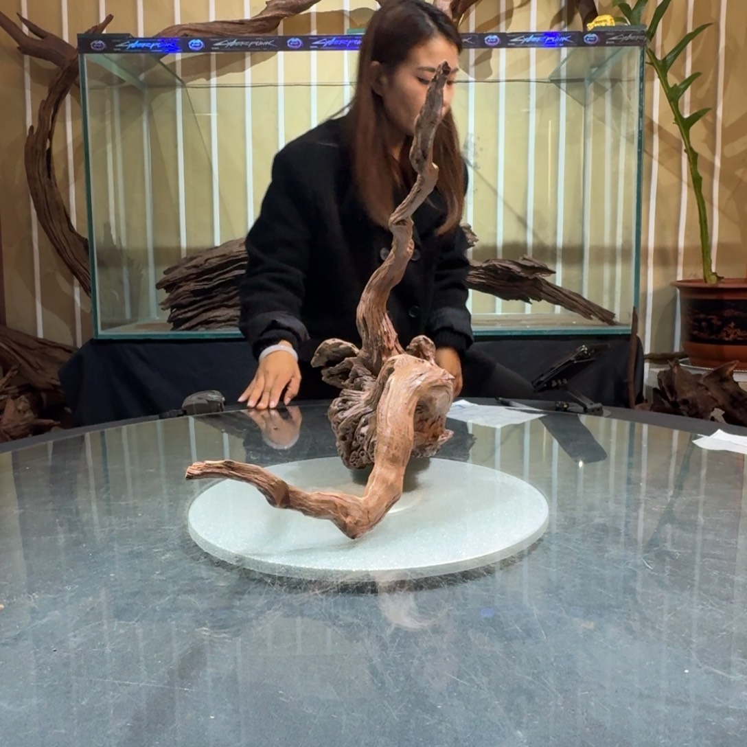 X***g柚木一物一拍鱼缸造景