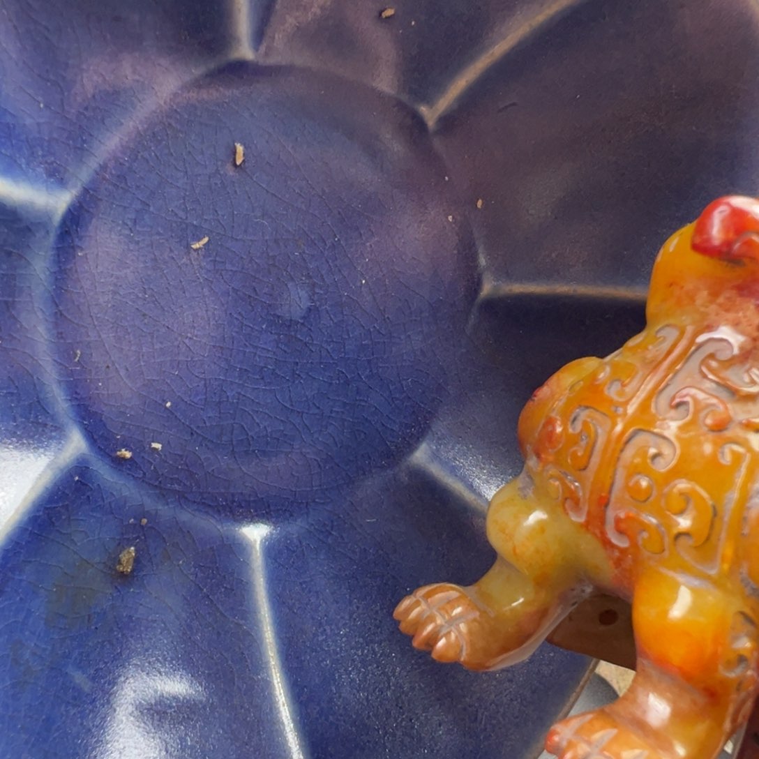 龙*福利多多优惠多多福利