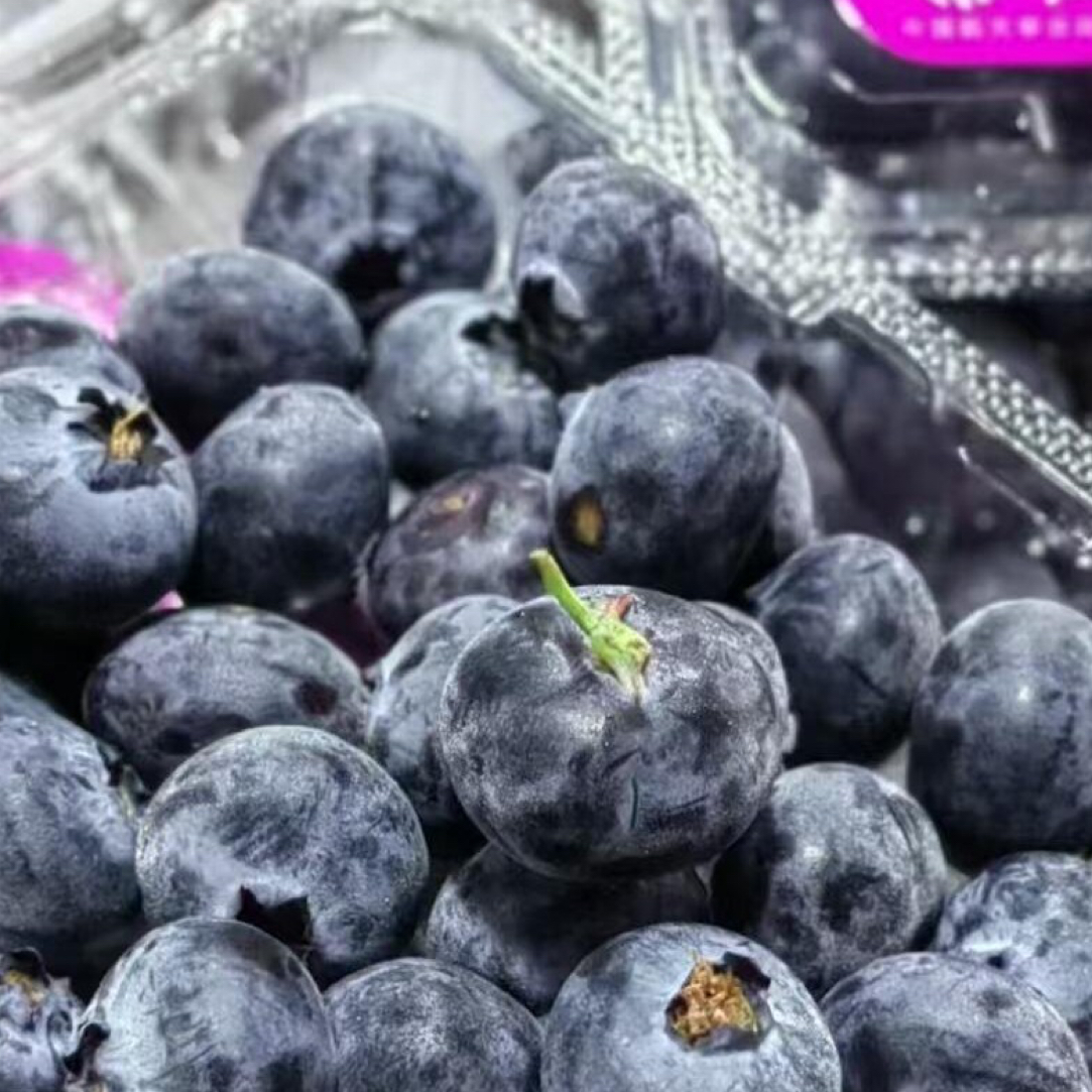 千果蓝云南花香蓝莓18mm脆甜可口新鲜现摘现发应季水果顺丰空运云南省