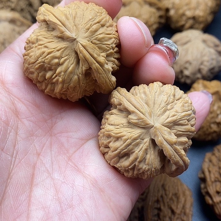 龙脊菩提吊坠白师子41