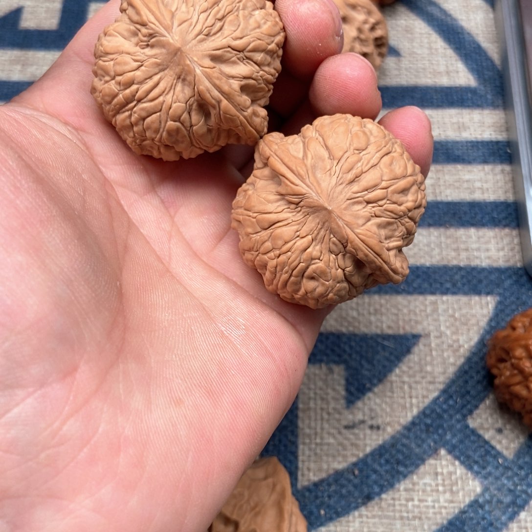 文玩核桃把件泥鳅背39