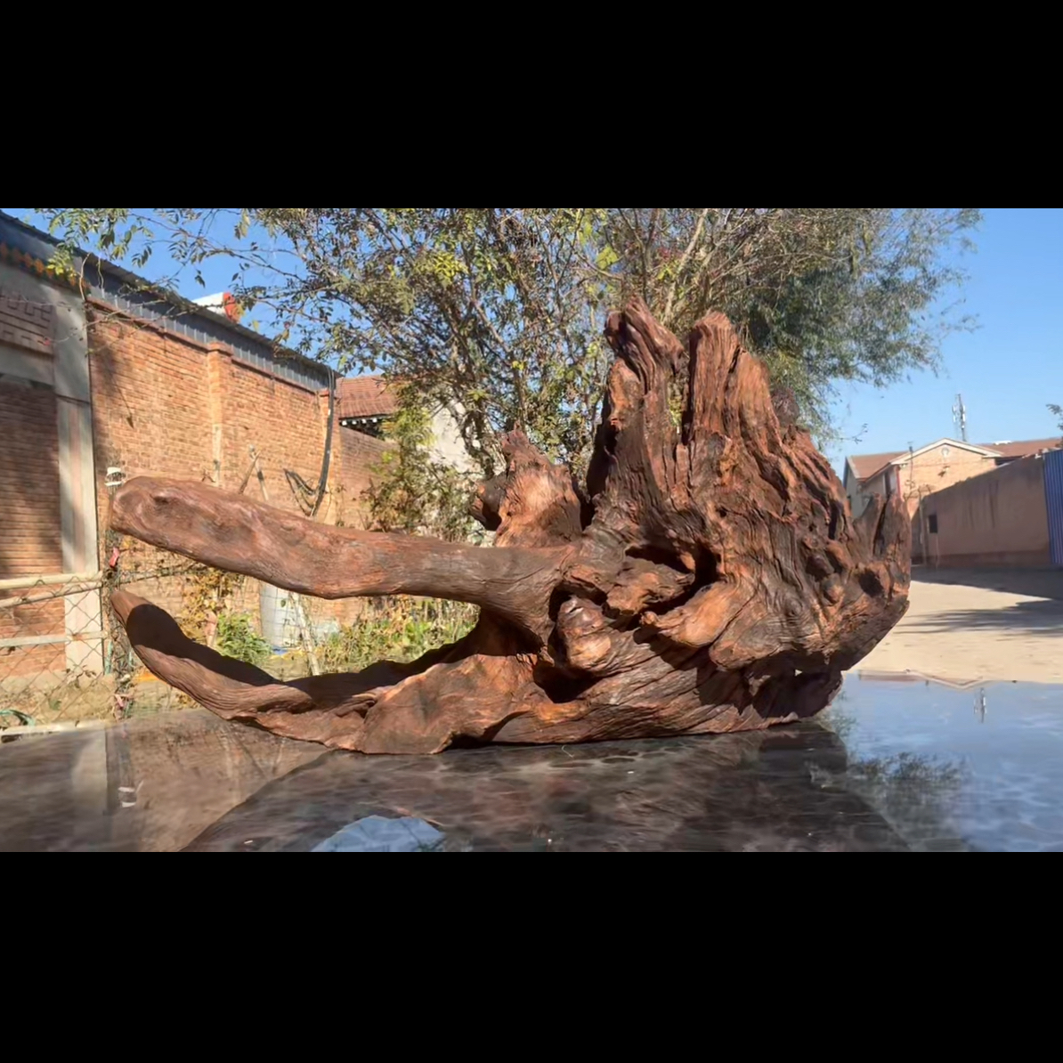 尺寸85×36×48 鱼缸造景沉木摆件，紫柚木，秒沉水，顺丰，包煮，双11