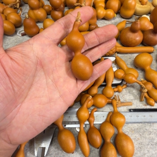 糖***僧唐僧了一把弓倍弓倍小蚂蚁葫芦唐僧的