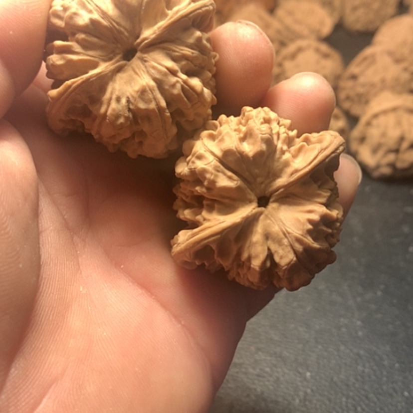 【闪购商品】星*官帽