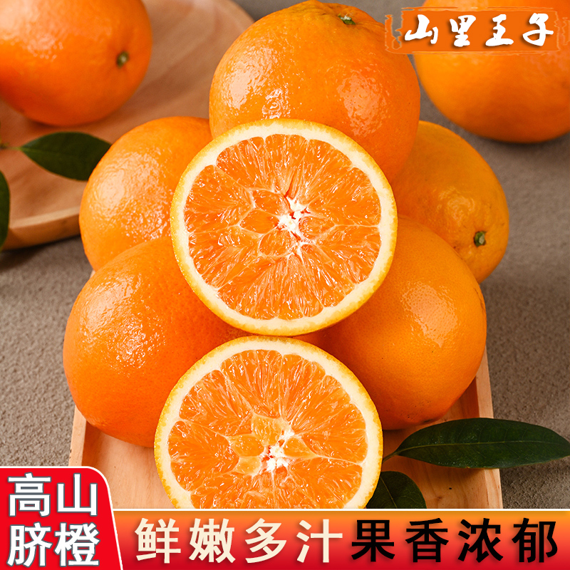 【5斤装】正宗农家高山脐橙新鲜现摘手剥应季水果香甜橙子精品大果