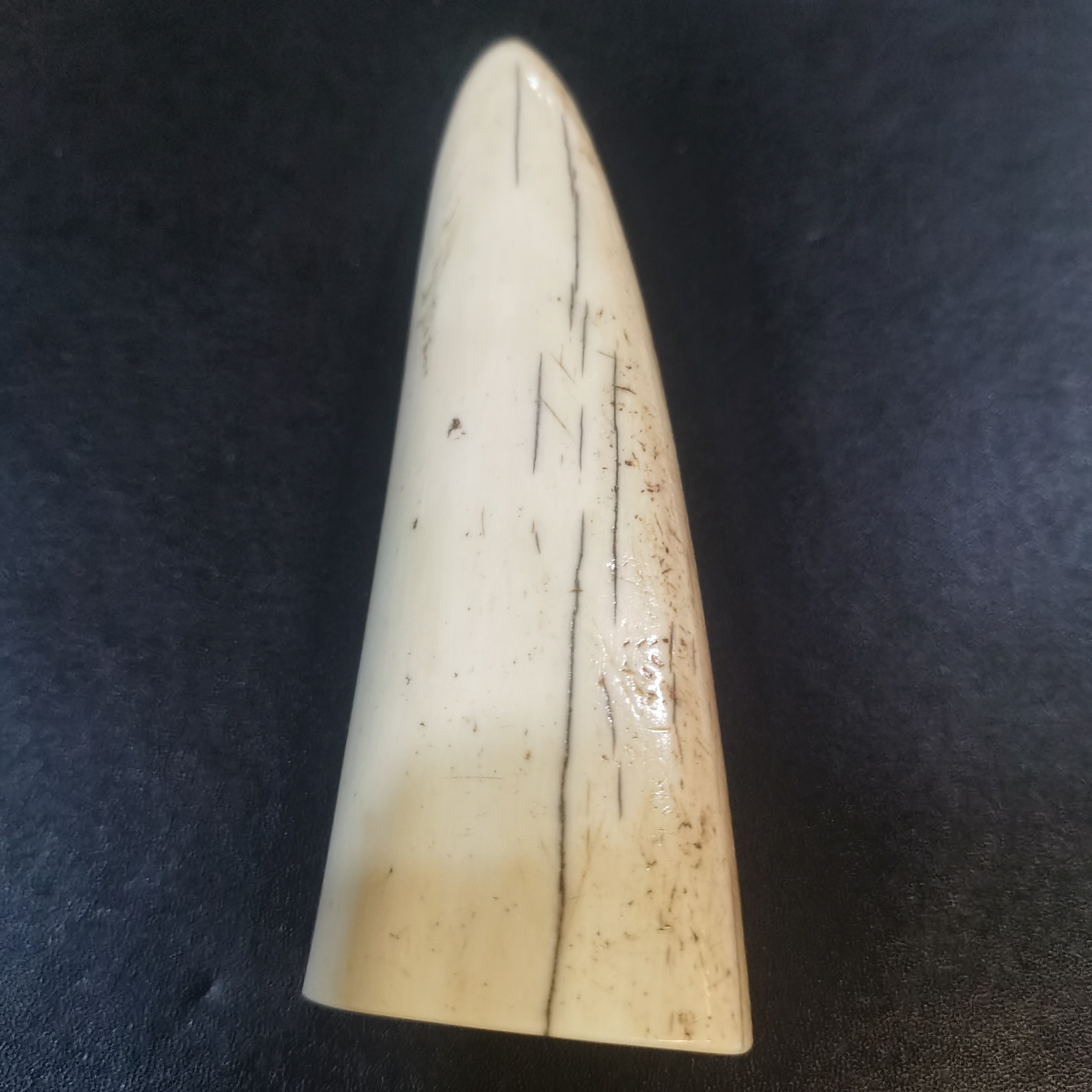 猛犸虬雕刻件约160.8克kk52