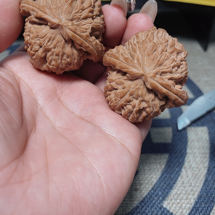 文玩核桃把件白狮子44