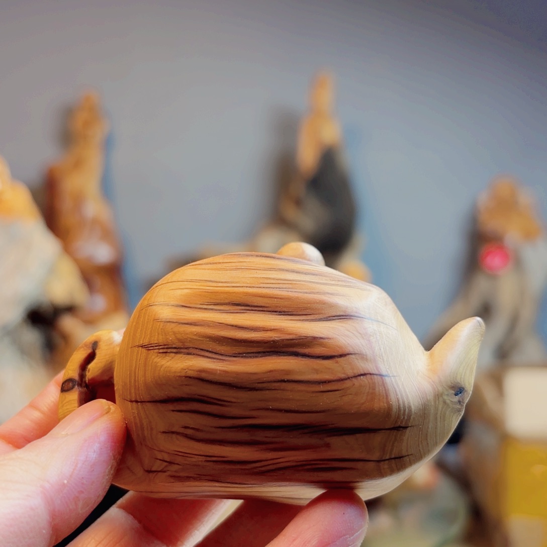 柏木（崖柏）崖柏88888888