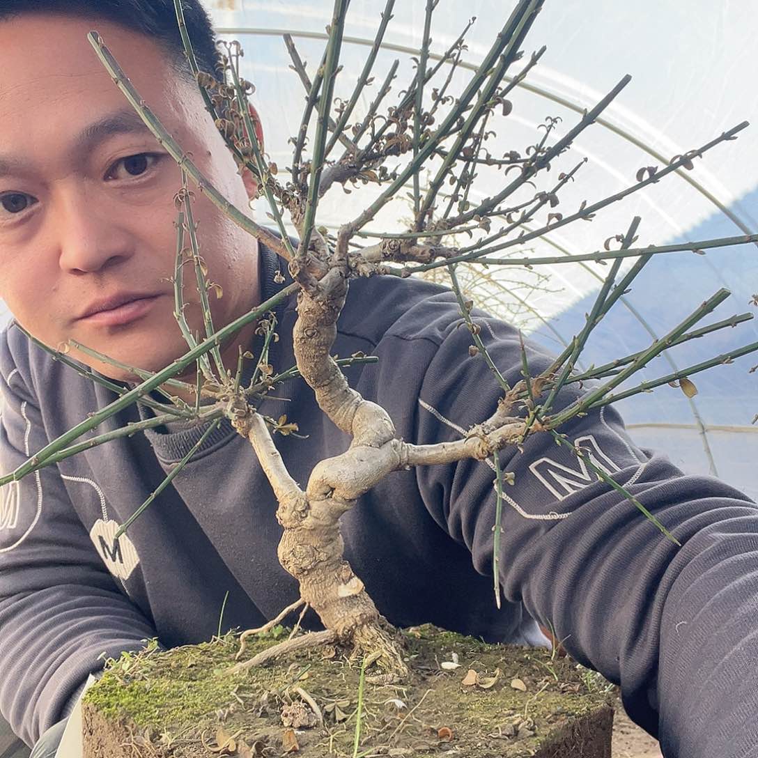 用***1无花朵谢谢你的关心和支持