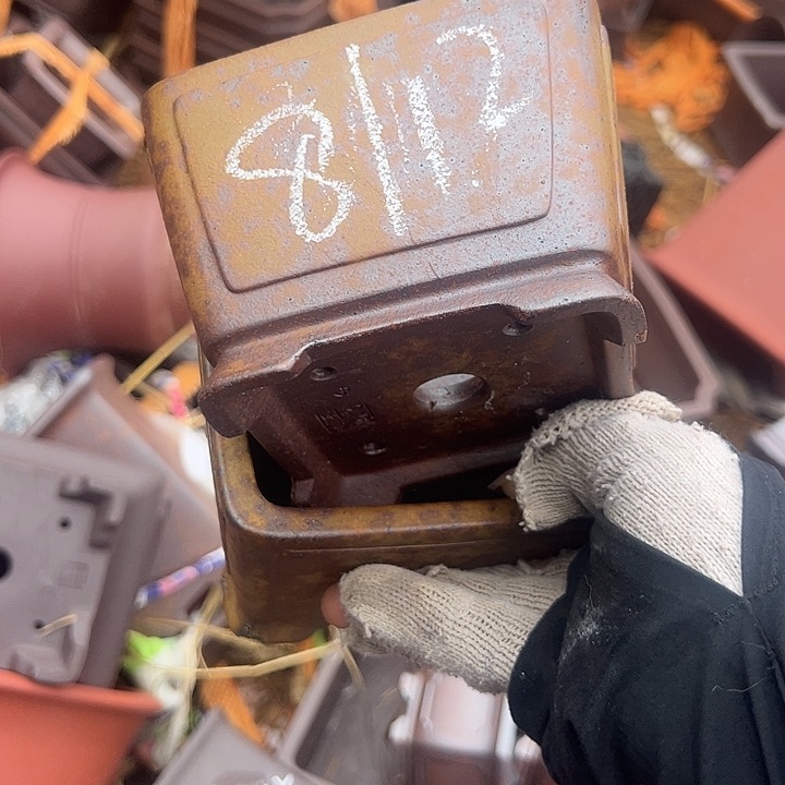 紫砂宣传宣传徐徐下场