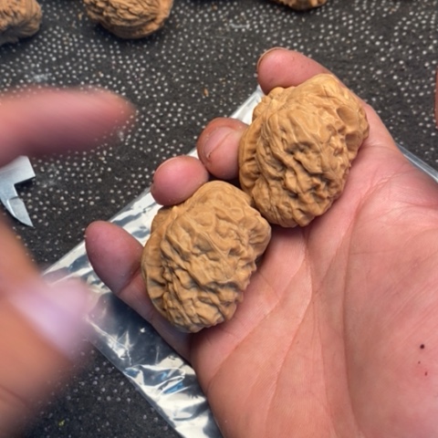 文玩核桃把件蛤蟆一根筋