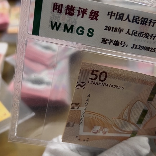 纸军*全新包邮包品保真