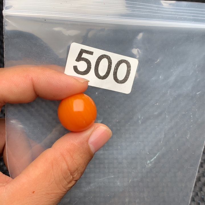 大果紫檀（缅甸花梨）