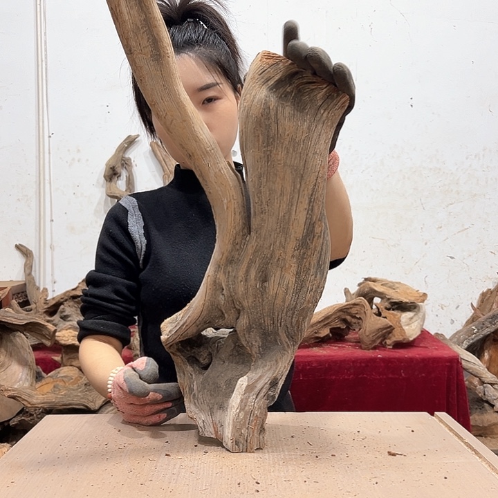 柏木盛****生我们都是好孩子