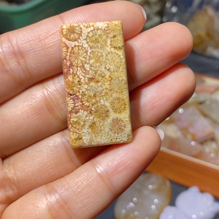【闪购商品】未镶嵌珊瑚玉硅化玉