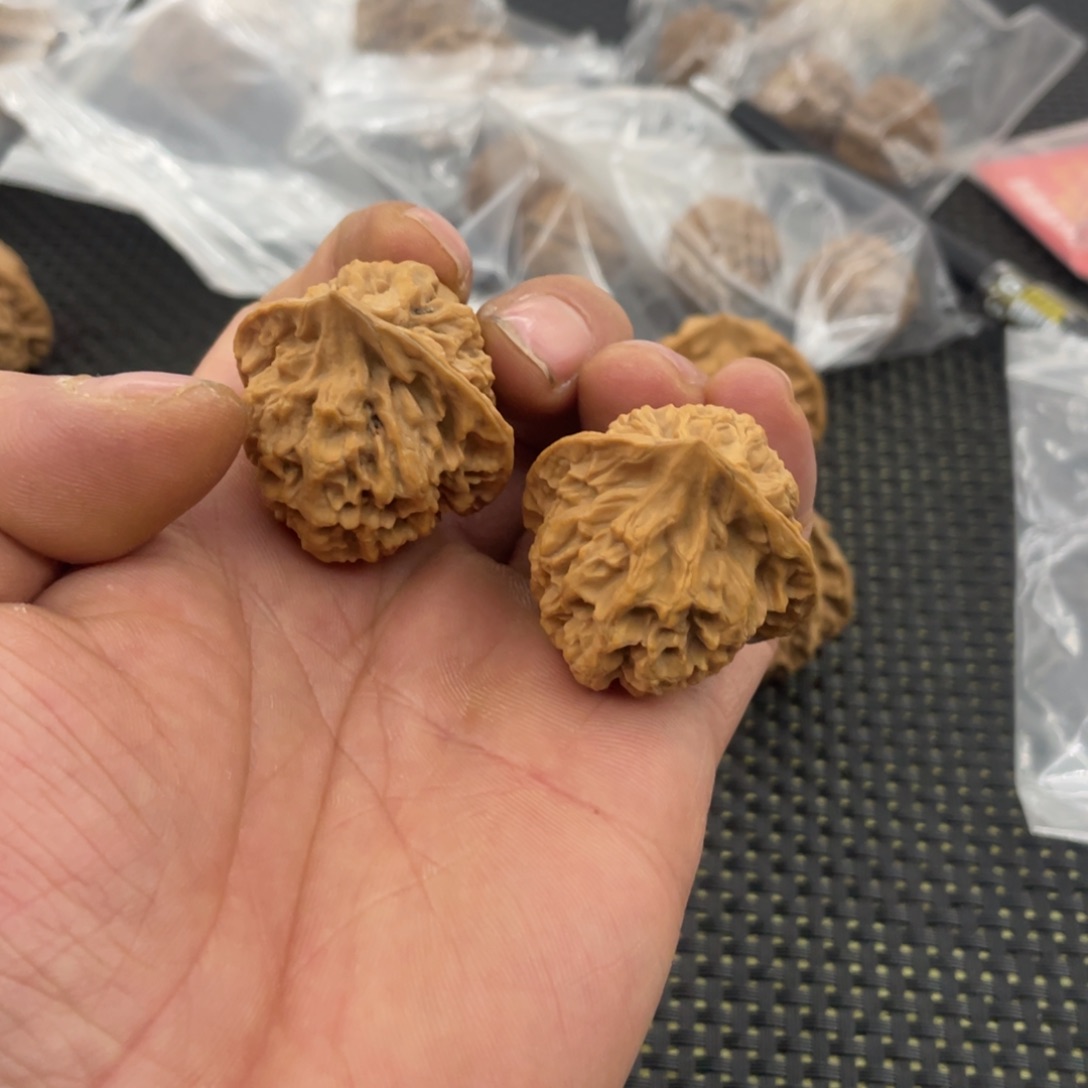 秦岭的小王核桃啊啊啊