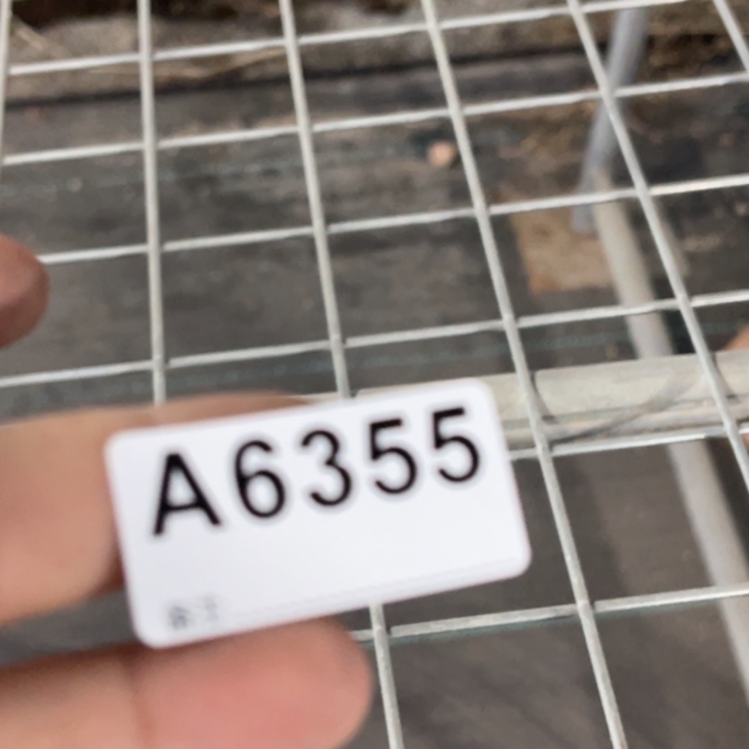 雨***）6355福利筐1补差 