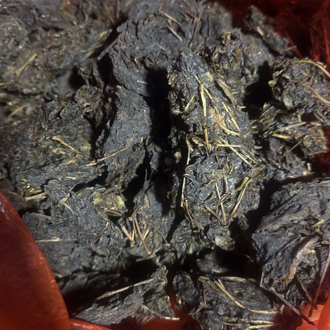 【小美专属】城步油茶叶