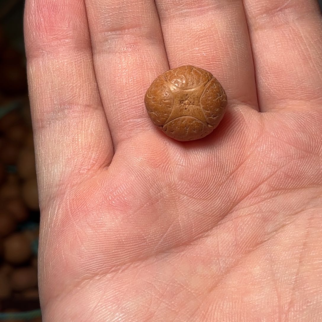 桃核吊坠18mm麒麟眼，开孔不退，偏远不包