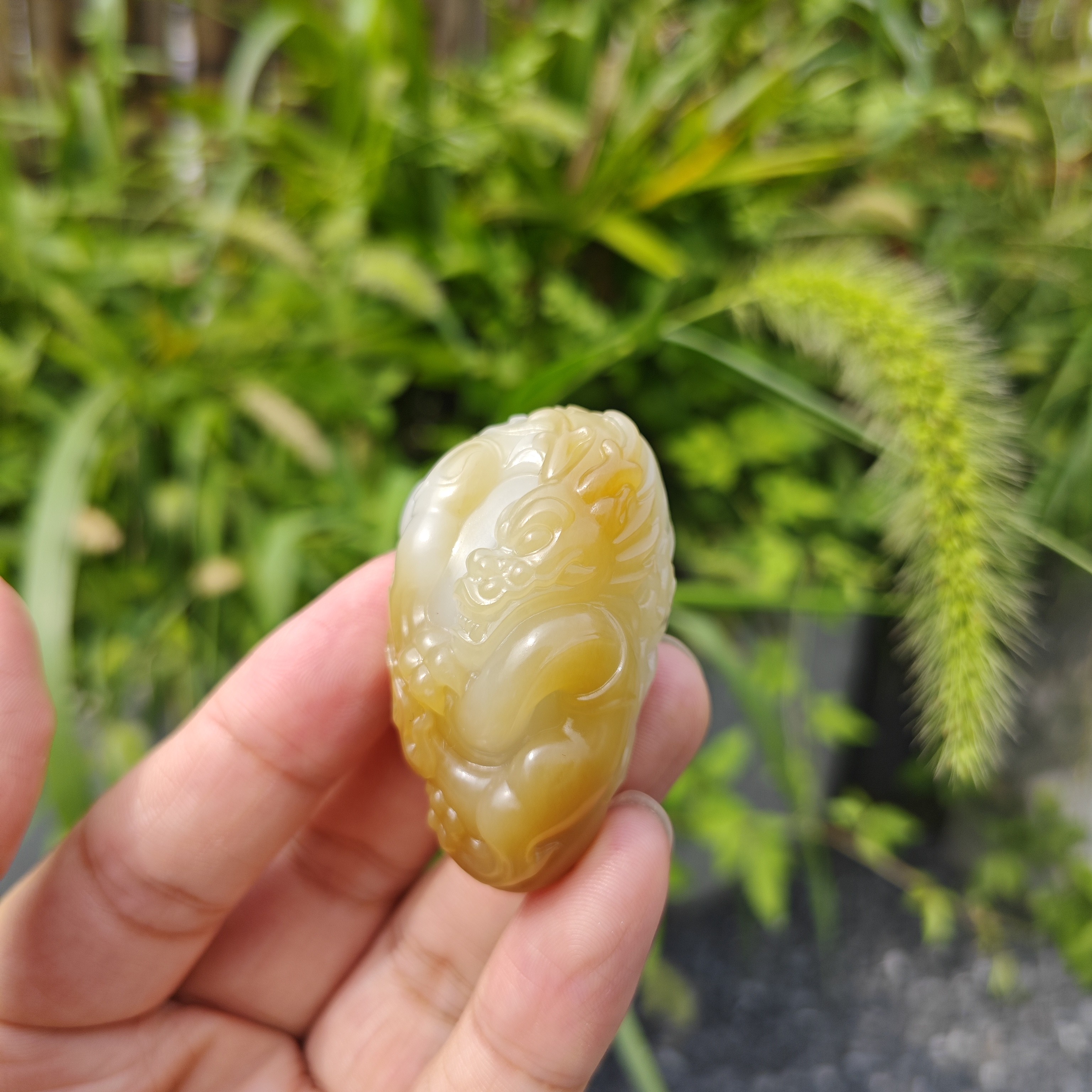 天然新疆和田玉且末金山糖白龙行天下