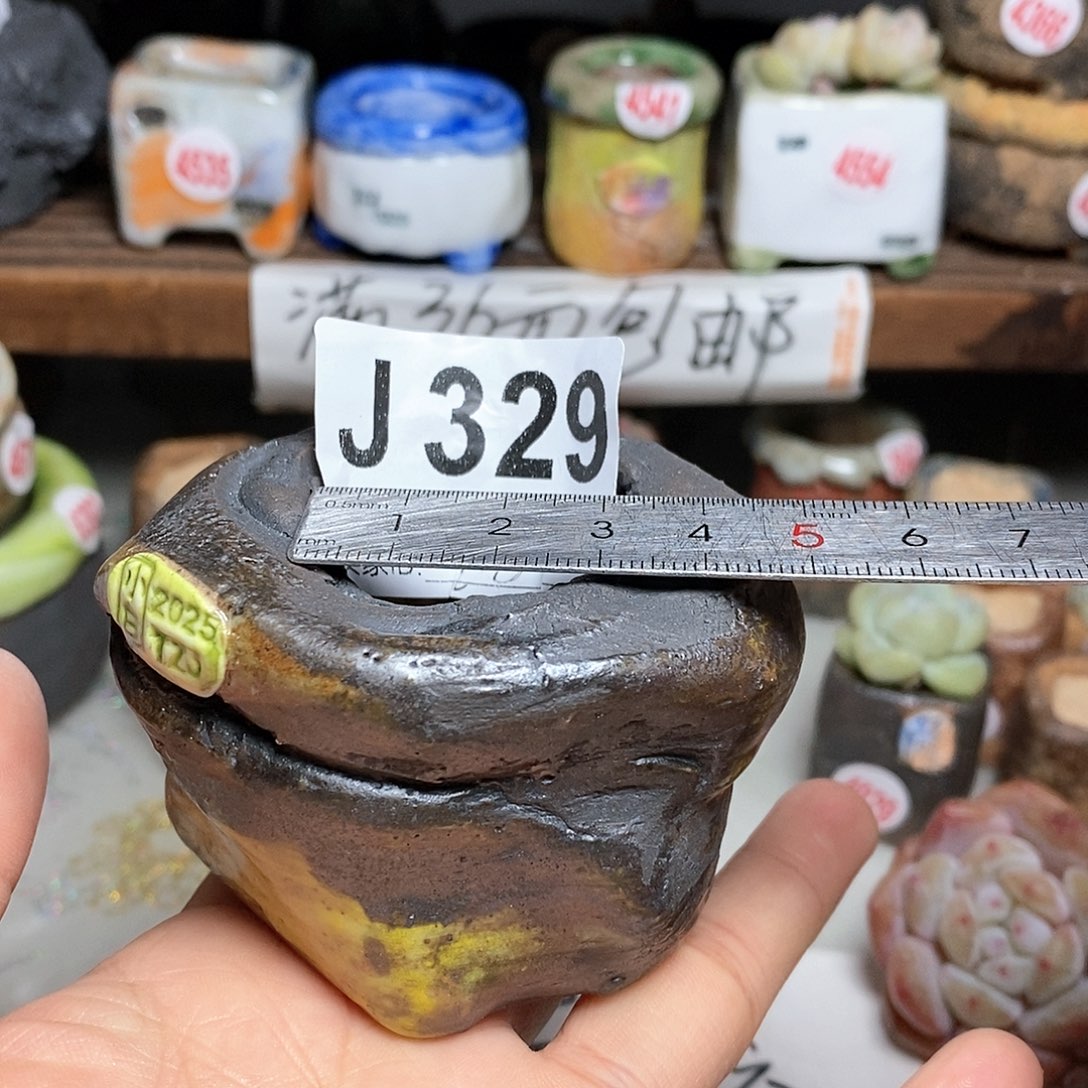 红陶拍5送一个小