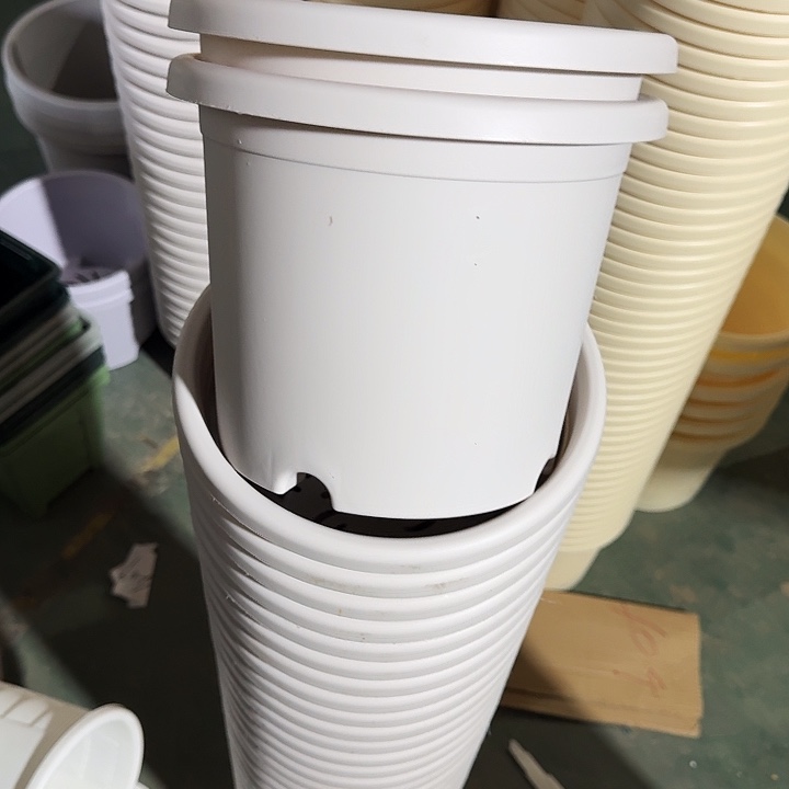 微瑕3#灰白10个无托