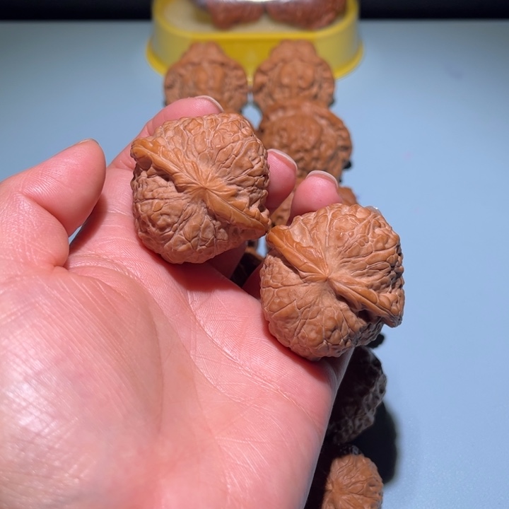 核桃南瓜吨尺寸42有修