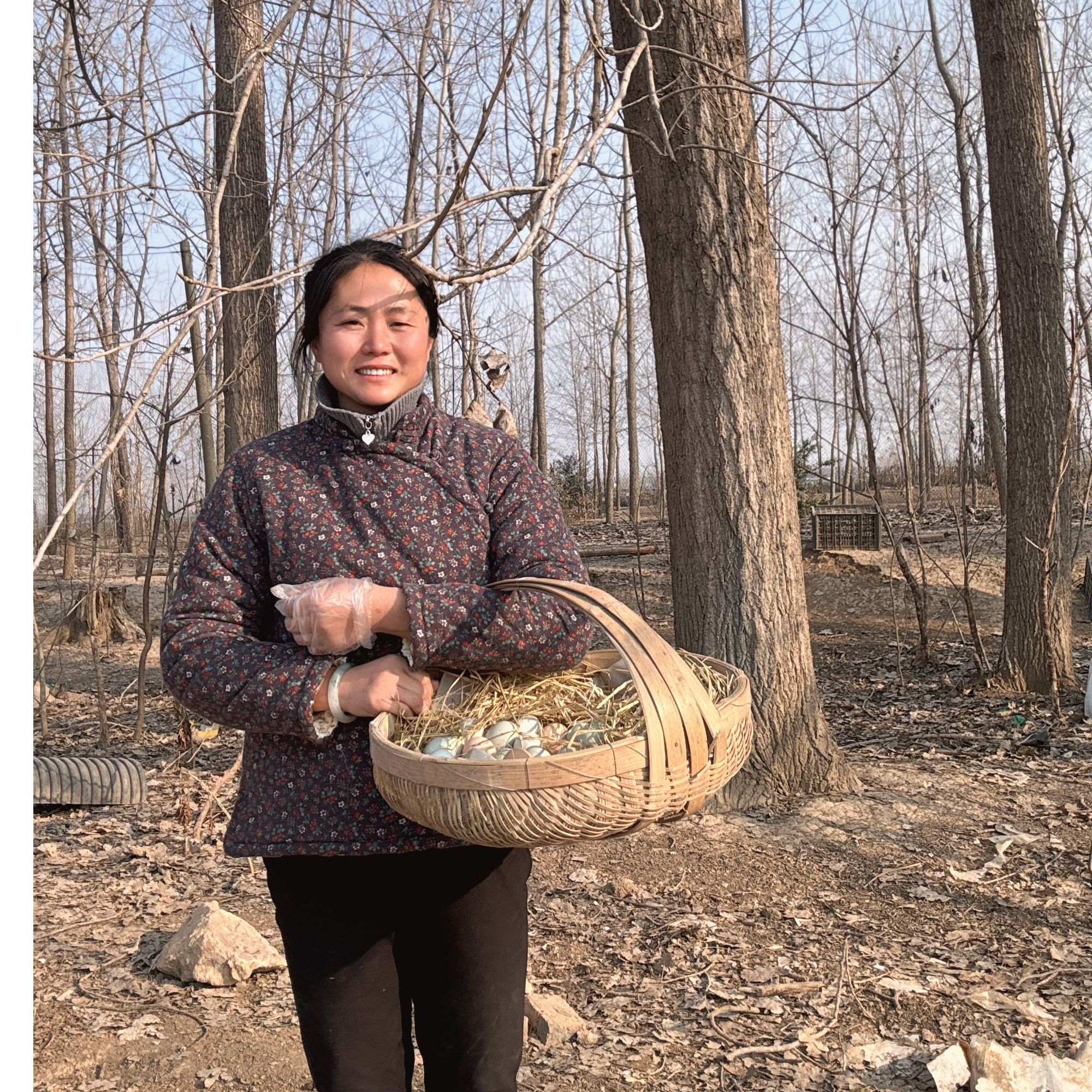西南岗姑娘推荐农村土鸡蛋溜达鸡原生态绿色