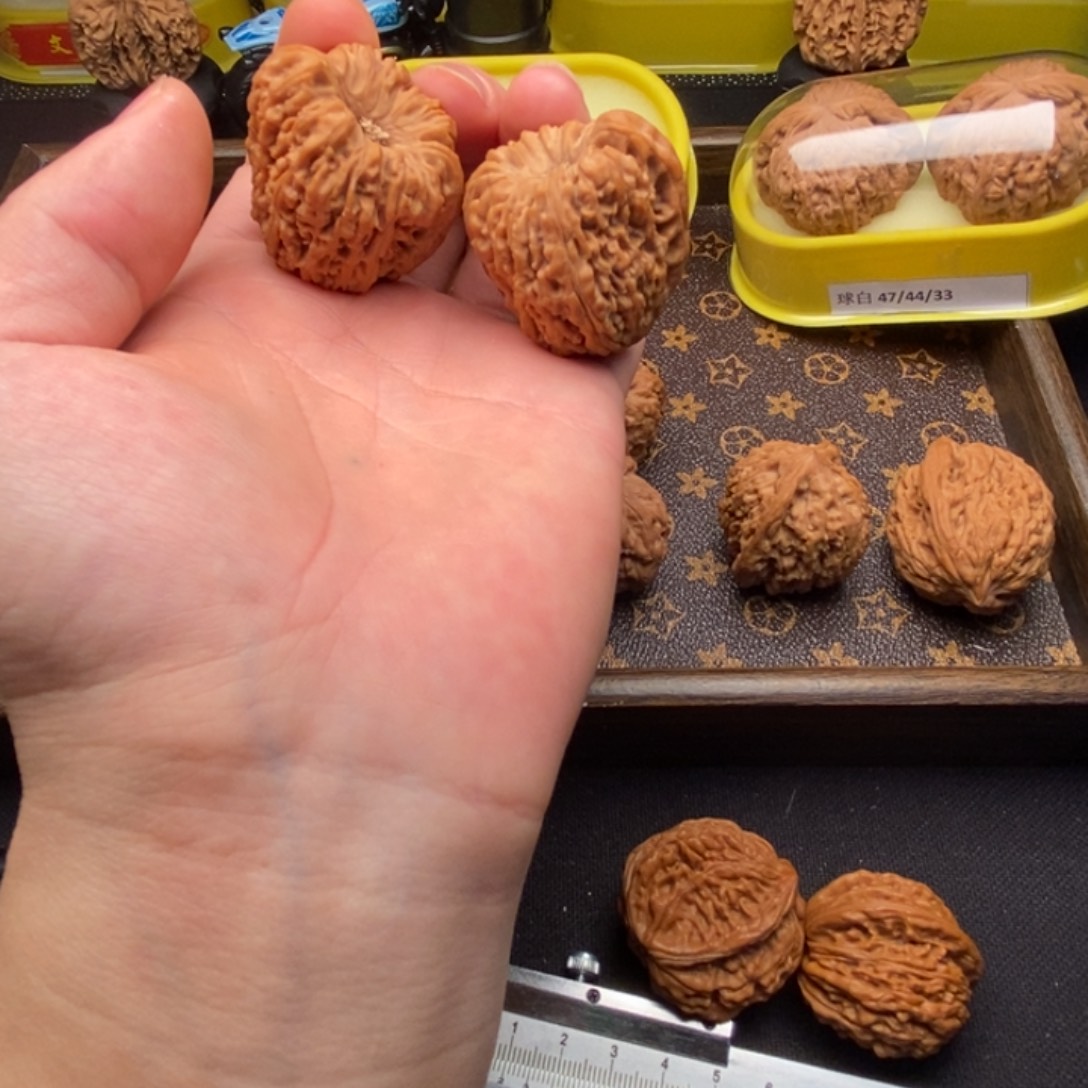 37.5全品高炮天残狮子头