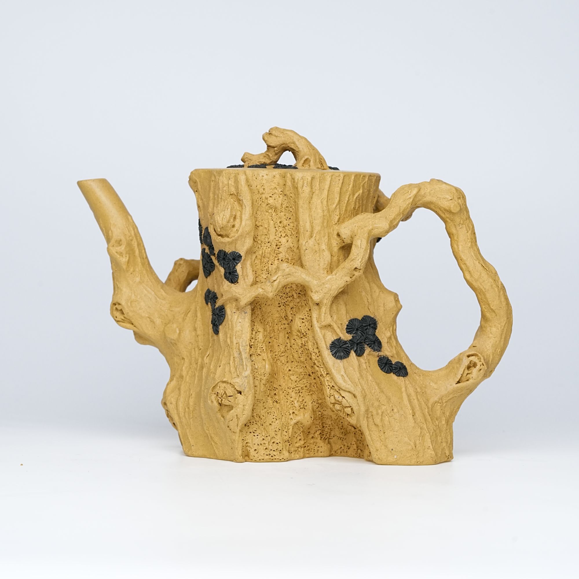 树桩大王，正高陈忠庆老师【梅桩】原矿段泥500CC大容量精品紫砂壶