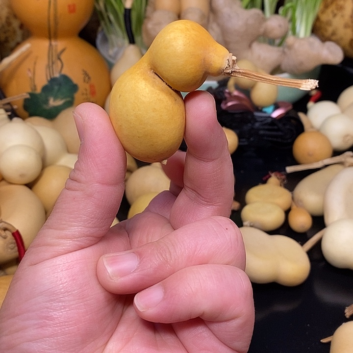 行***言精品葫芦手把葫芦9