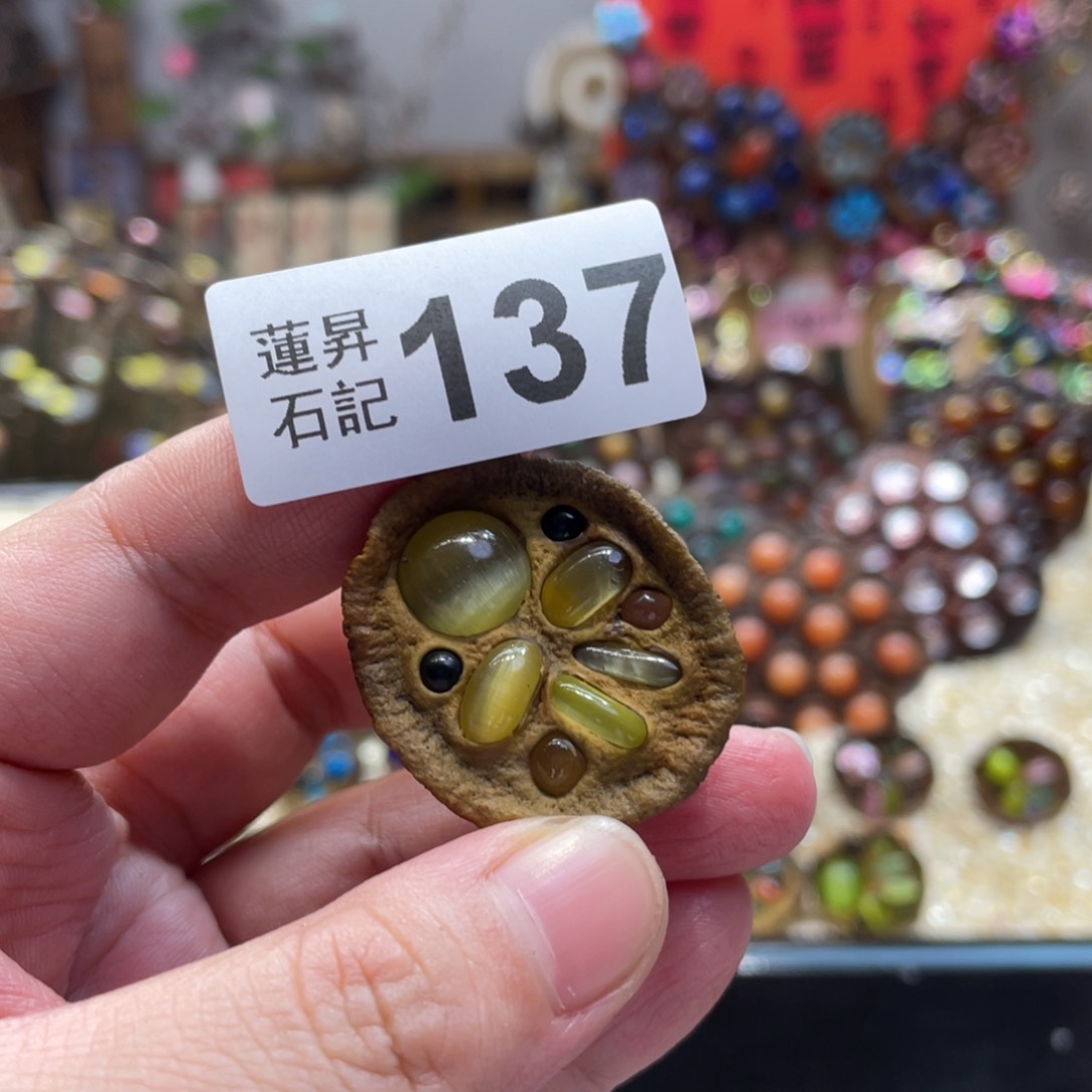 核桃木/黑胡桃（胡桃木）安****子137