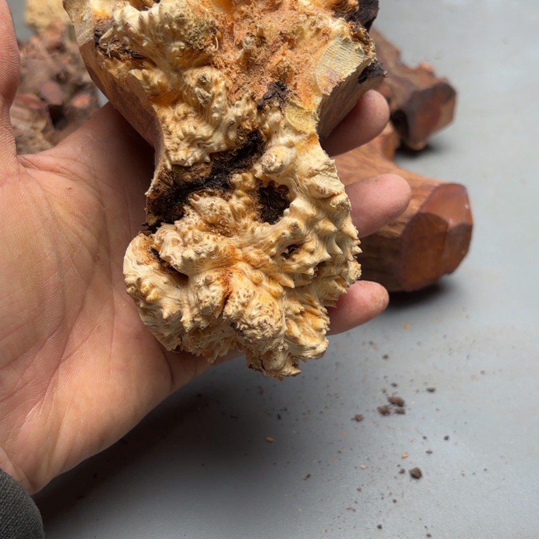 l***u无花朵         163