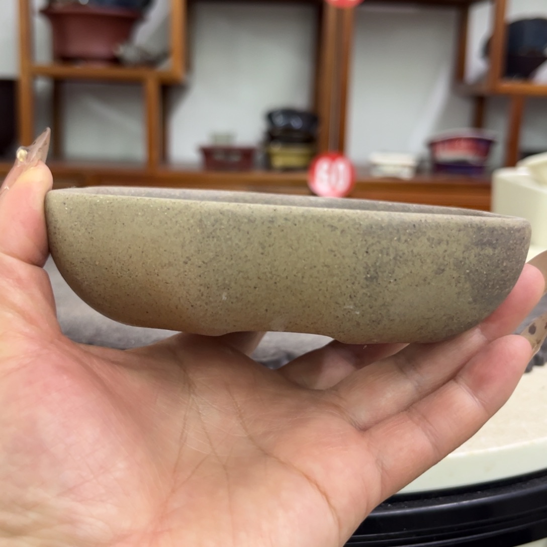 紫砂花盆瑕疵3/11-9。。。