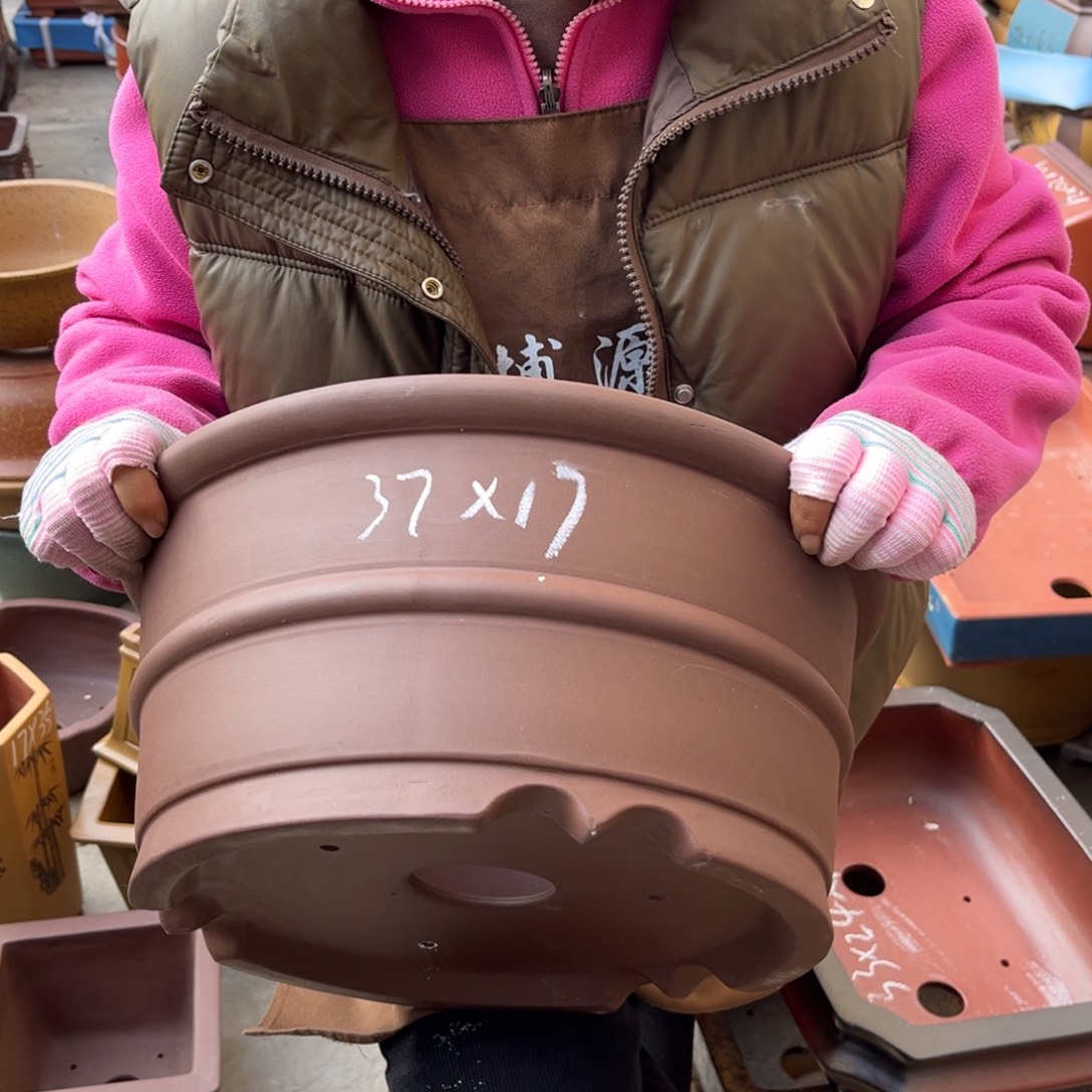 花盆紫砂盆景艺术