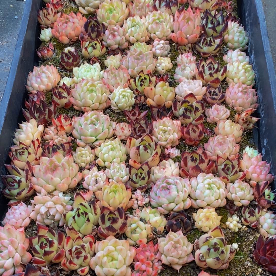 284的人在一起的时候就