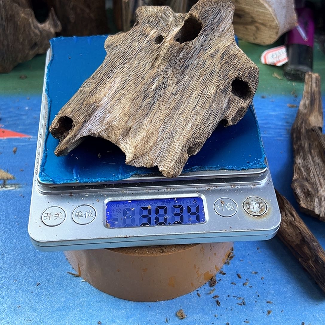 香料绿奇楠虫漏张勺子30克