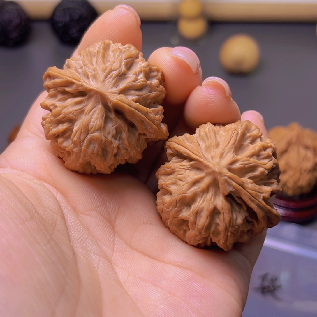 核桃专用链接，苹果园练手对